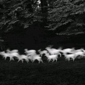 上垒后很热情第一季免费观看
